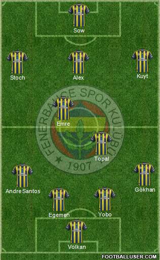 Fenerbahçe SK Formation 2013