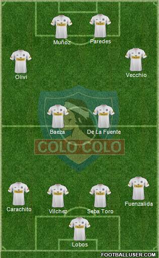 CSD Colo Colo Formation 2013