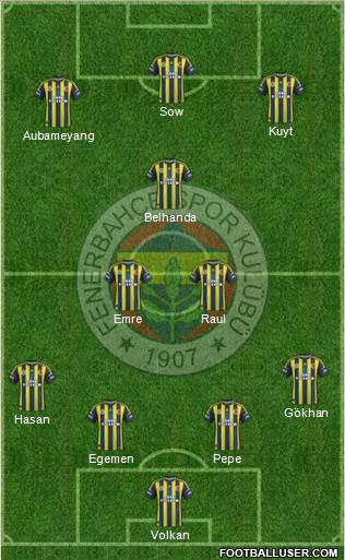 Fenerbahçe SK Formation 2013