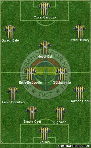 Fenerbahçe SK Formation 2013