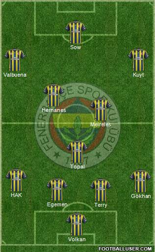 Fenerbahçe SK Formation 2013