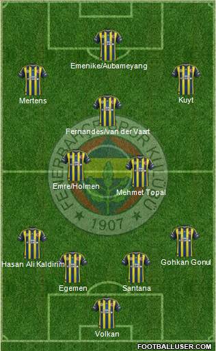 Fenerbahçe SK Formation 2013