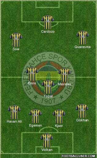 Fenerbahçe SK Formation 2013