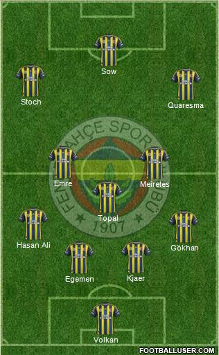 Fenerbahçe SK Formation 2013