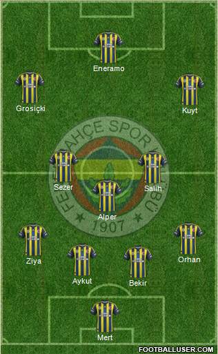 Fenerbahçe SK Formation 2013