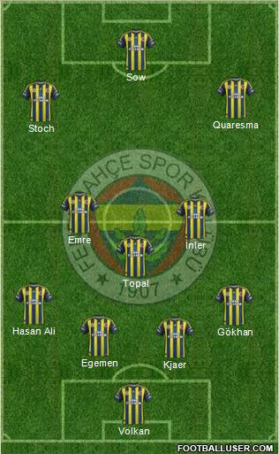 Fenerbahçe SK Formation 2013