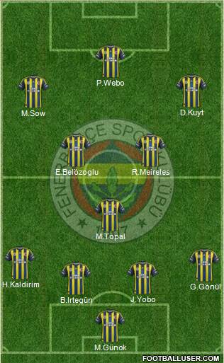 Fenerbahçe SK Formation 2013