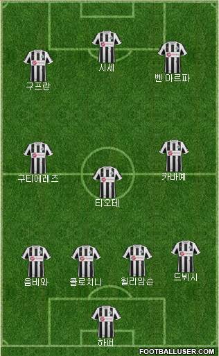 Newcastle United Formation 2013
