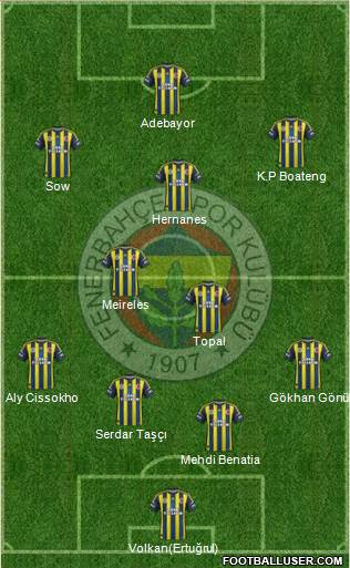 Fenerbahçe SK Formation 2013