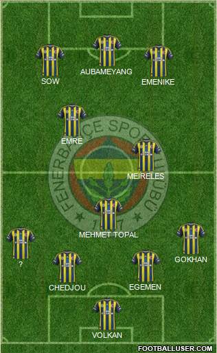 Fenerbahçe SK Formation 2013
