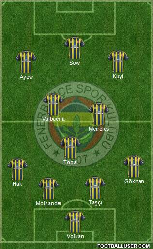 Fenerbahçe SK Formation 2013