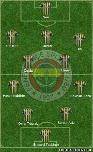 Fenerbahçe SK Formation 2013