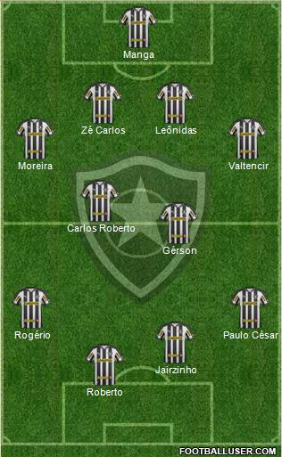 Botafogo FR Formation 2013