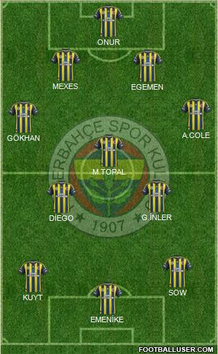Fenerbahçe SK Formation 2013