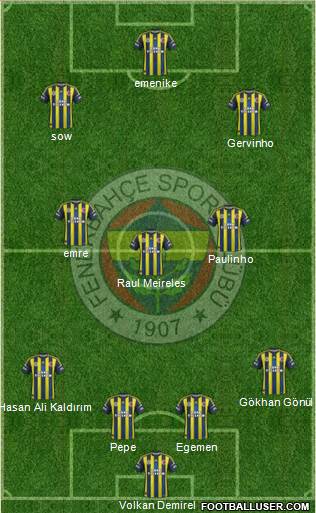 Fenerbahçe SK Formation 2013