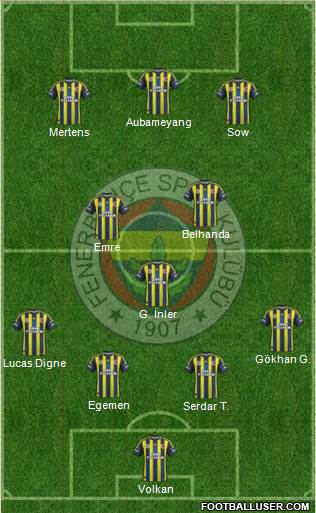 Fenerbahçe SK Formation 2013