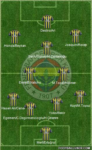 Fenerbahçe SK Formation 2013