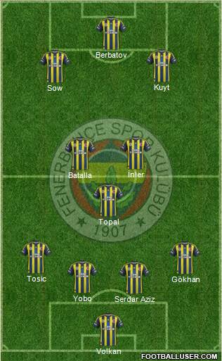Fenerbahçe SK Formation 2013