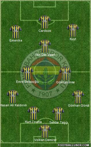Fenerbahçe SK Formation 2013