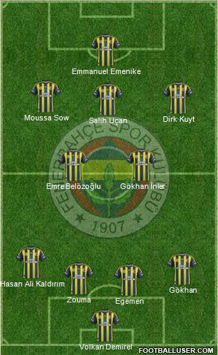 Fenerbahçe SK Formation 2013