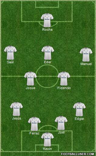 Tottenham Hotspur Formation 2013