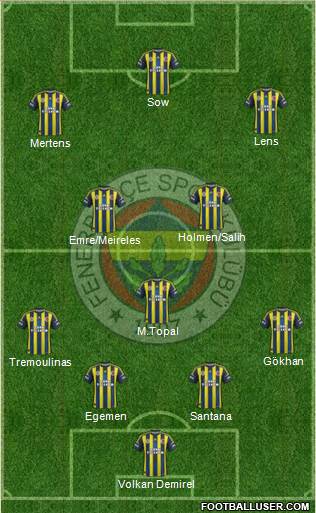 Fenerbahçe SK Formation 2013