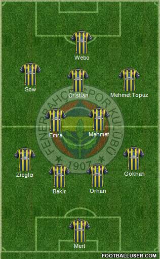 Fenerbahçe SK Formation 2013