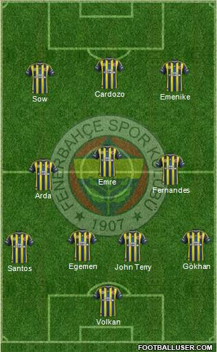 Fenerbahçe SK Formation 2013