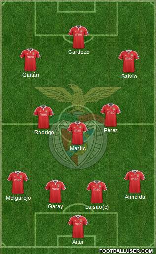 Sport Lisboa e Benfica - SAD Formation 2013