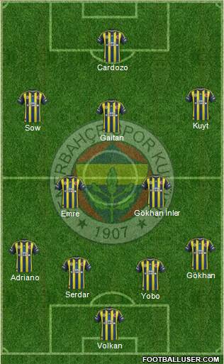 Fenerbahçe SK Formation 2013