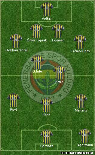 Fenerbahçe SK Formation 2013