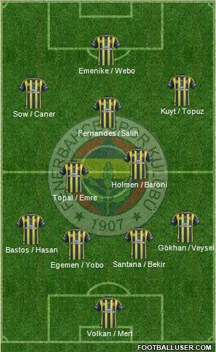 Fenerbahçe SK Formation 2013