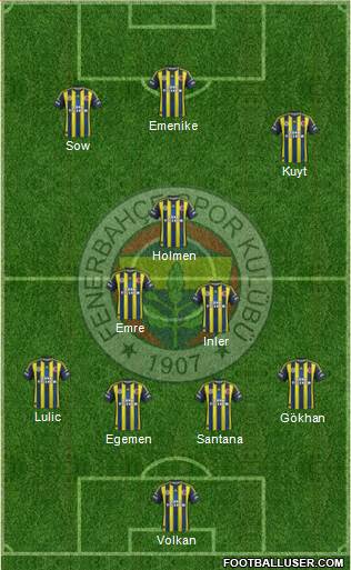 Fenerbahçe SK Formation 2013
