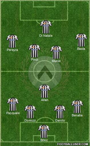 Udinese Formation 2013