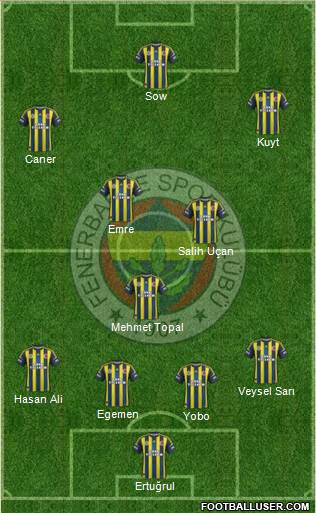 Fenerbahçe SK Formation 2013