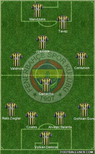 Fenerbahçe SK Formation 2013