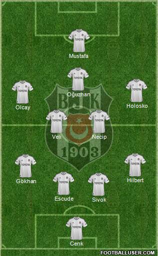 Besiktas JK Formation 2013