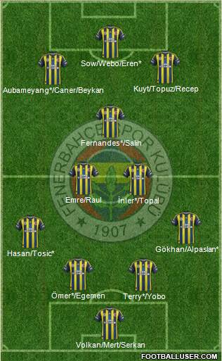 Fenerbahçe SK Formation 2013