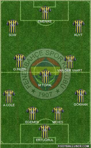 Fenerbahçe SK Formation 2013