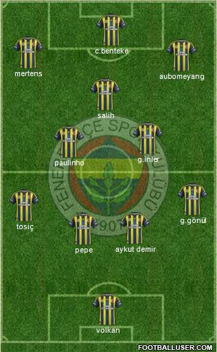Fenerbahçe SK Formation 2013