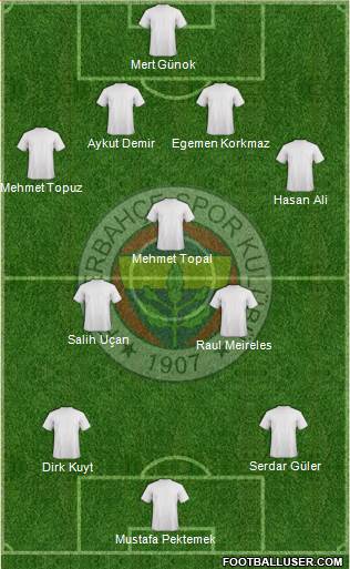 Fenerbahçe SK Formation 2013