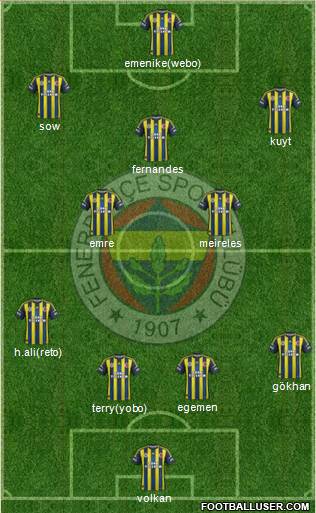 Fenerbahçe SK Formation 2013