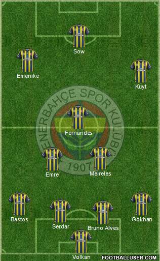 Fenerbahçe SK Formation 2013