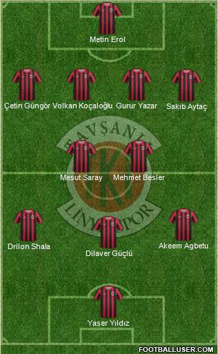 Tavsanli Linyitspor Formation 2013