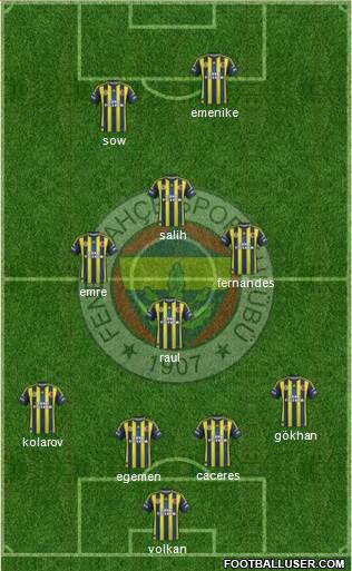 Fenerbahçe SK Formation 2013