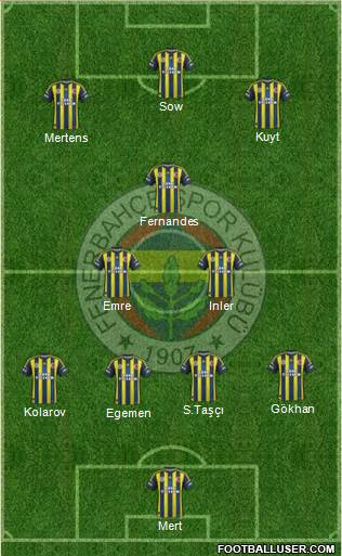 Fenerbahçe SK Formation 2013