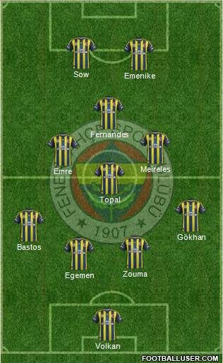 Fenerbahçe SK Formation 2013
