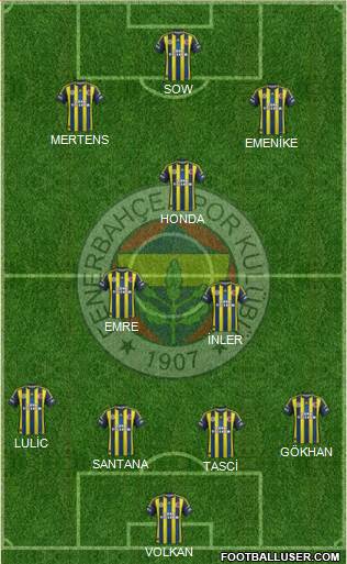 Fenerbahçe SK Formation 2013