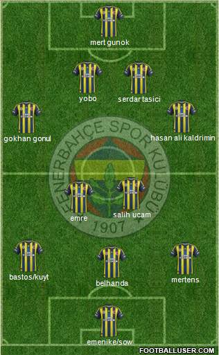 Fenerbahçe SK Formation 2013