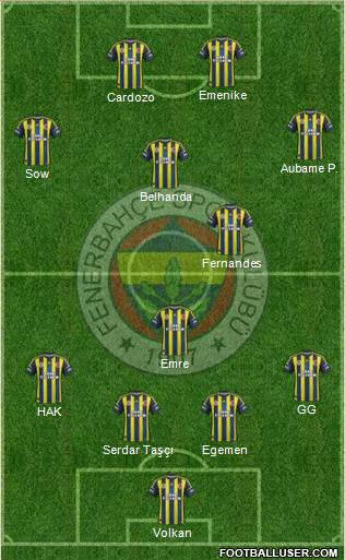 Fenerbahçe SK Formation 2013